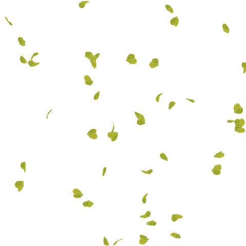 Daycare Centre in Dombivli